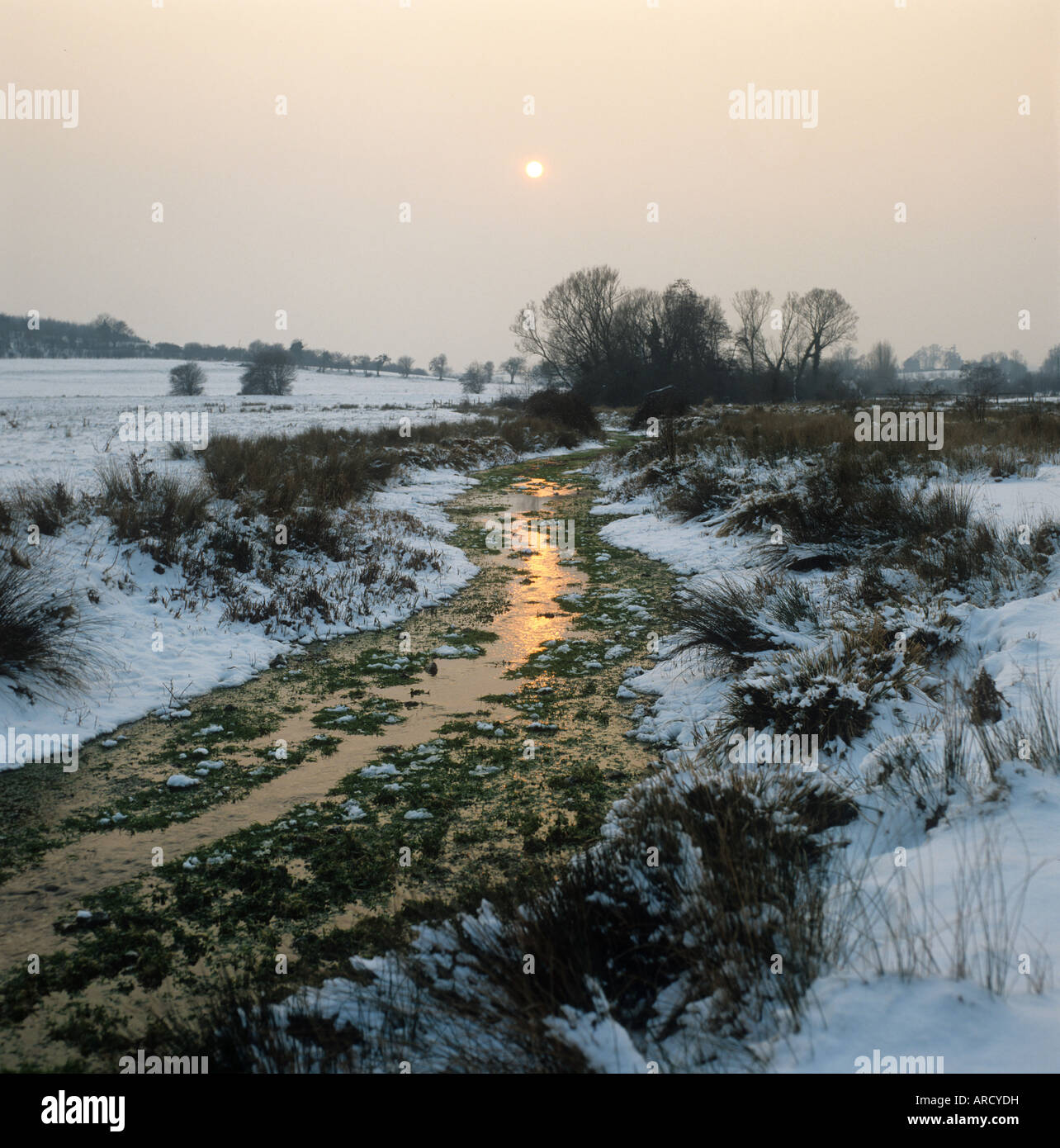 Hungerford Marsh mit leichtem Schnee Abend Sonne fließender Strom Stockfoto