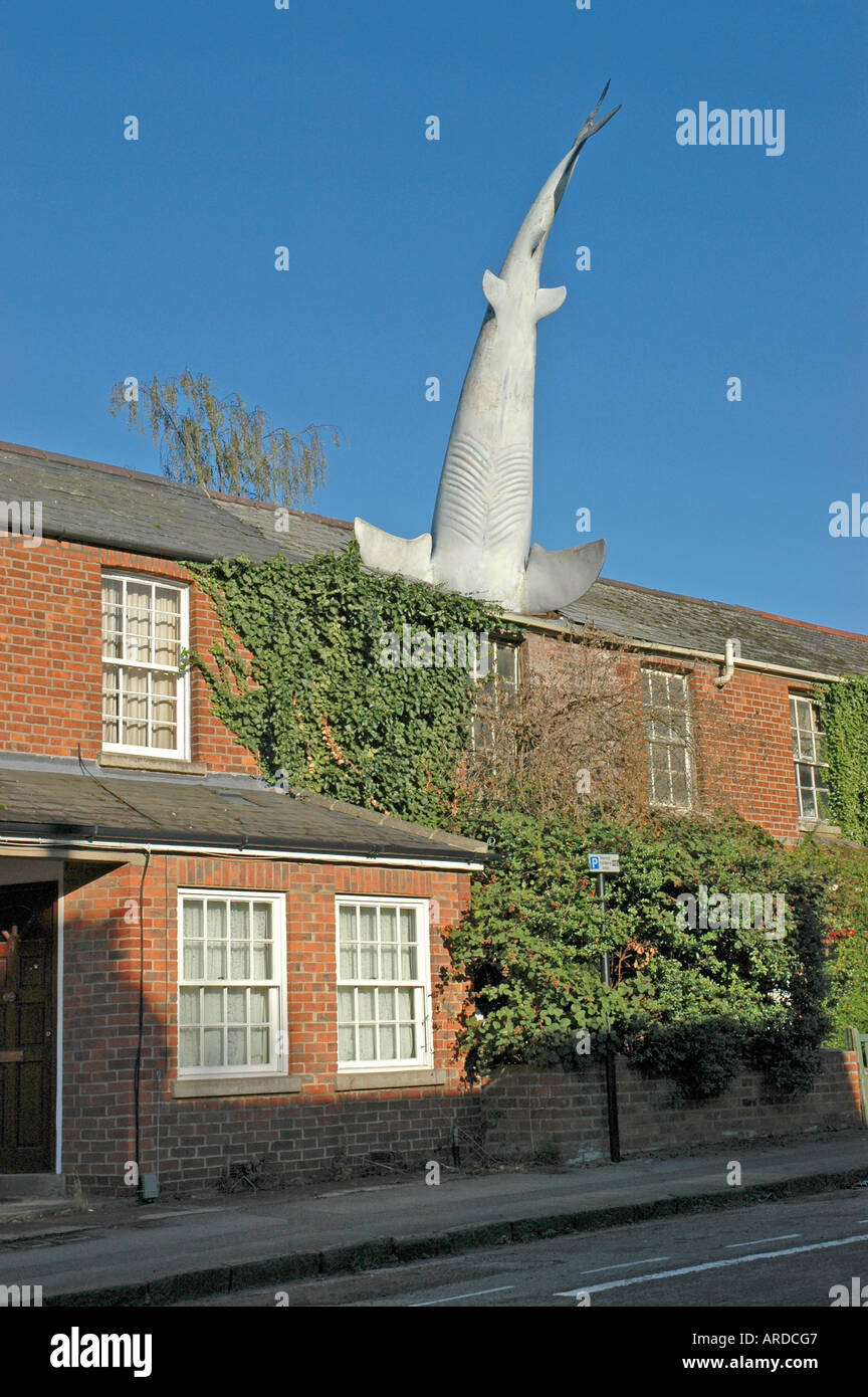 Der Headington Hai Oxford Stockfoto