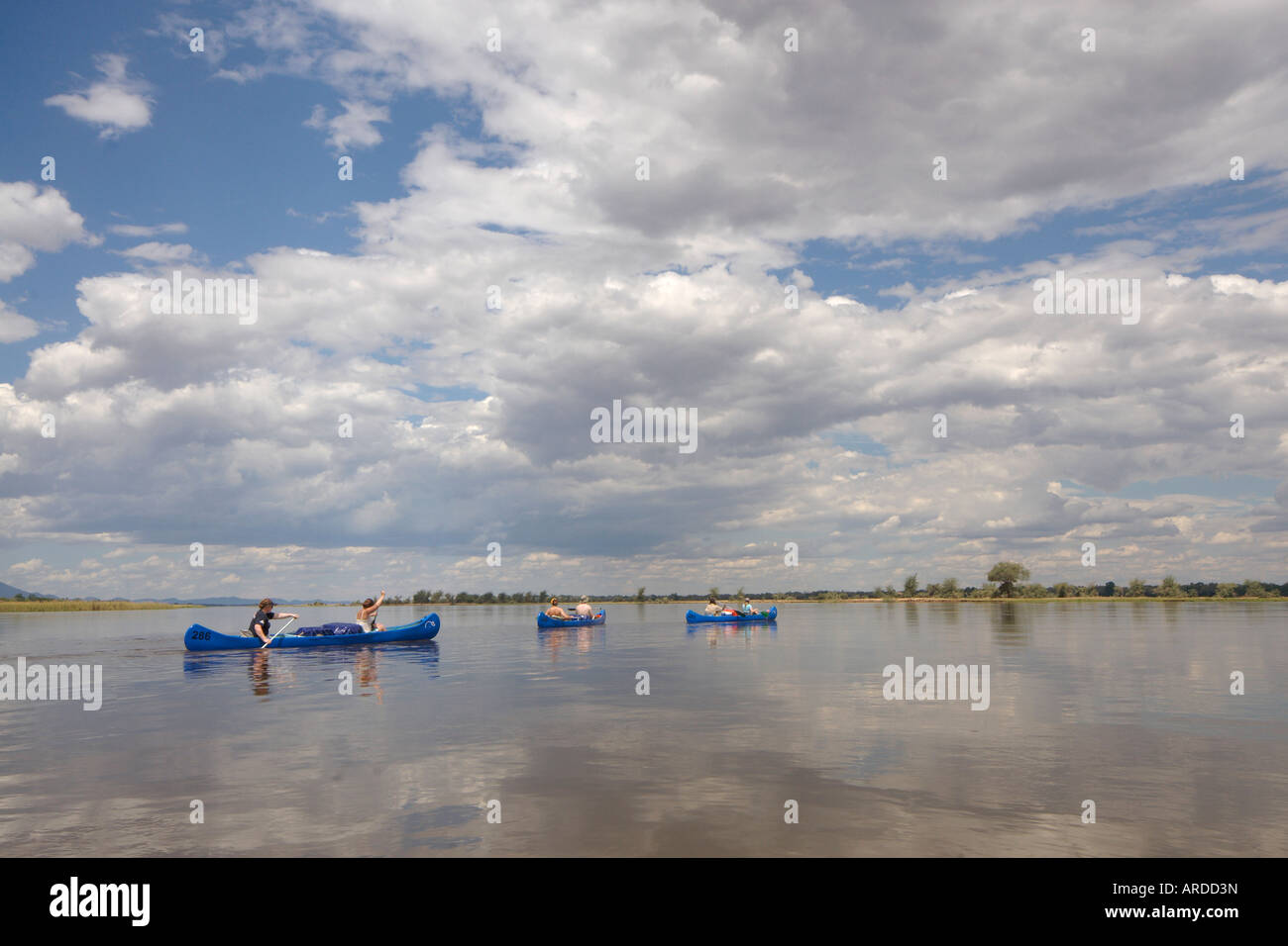 Touristen genießen die einzigartige Erfahrung eines Kanu-Safari auf dem mächtigen Sambesi-Fluss in Simbabwe. Stockfoto