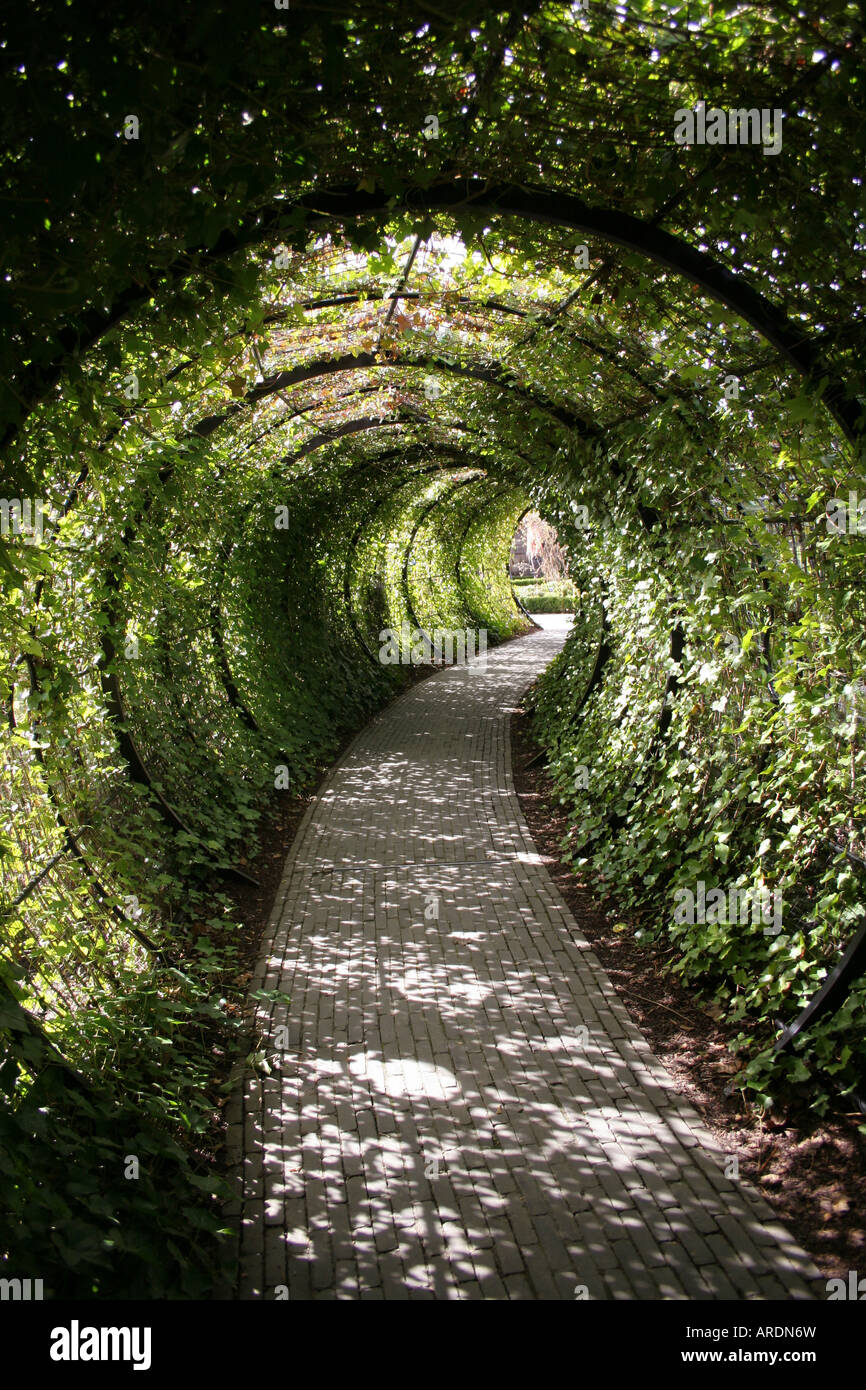 Alnwick Castle Garden, Poison Garten, grüne Tunnel Stockfoto