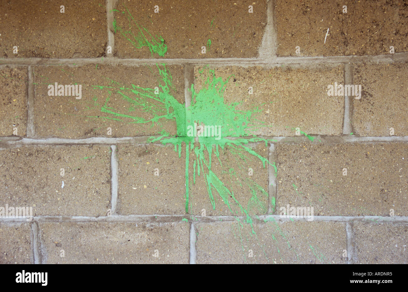 Nahaufnahme von einem Splat helle grüne Farbe auf eine Brise Blockwand geworfen Stockfoto