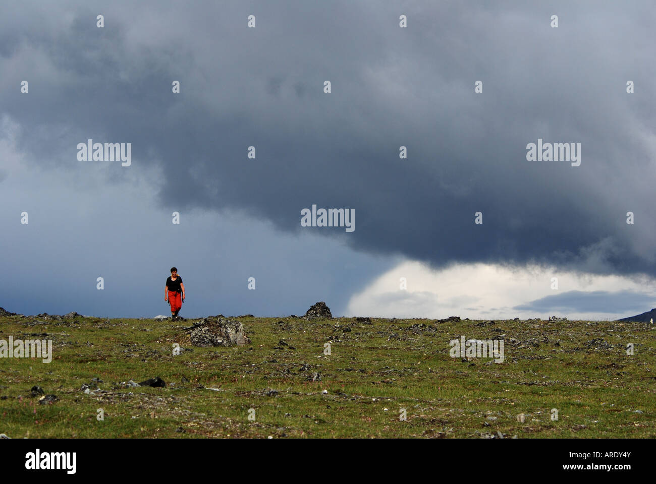 Wanderer auf Primrose Ridge, Regenwolken, Denali-Nationalpark, Alaska Stockfoto