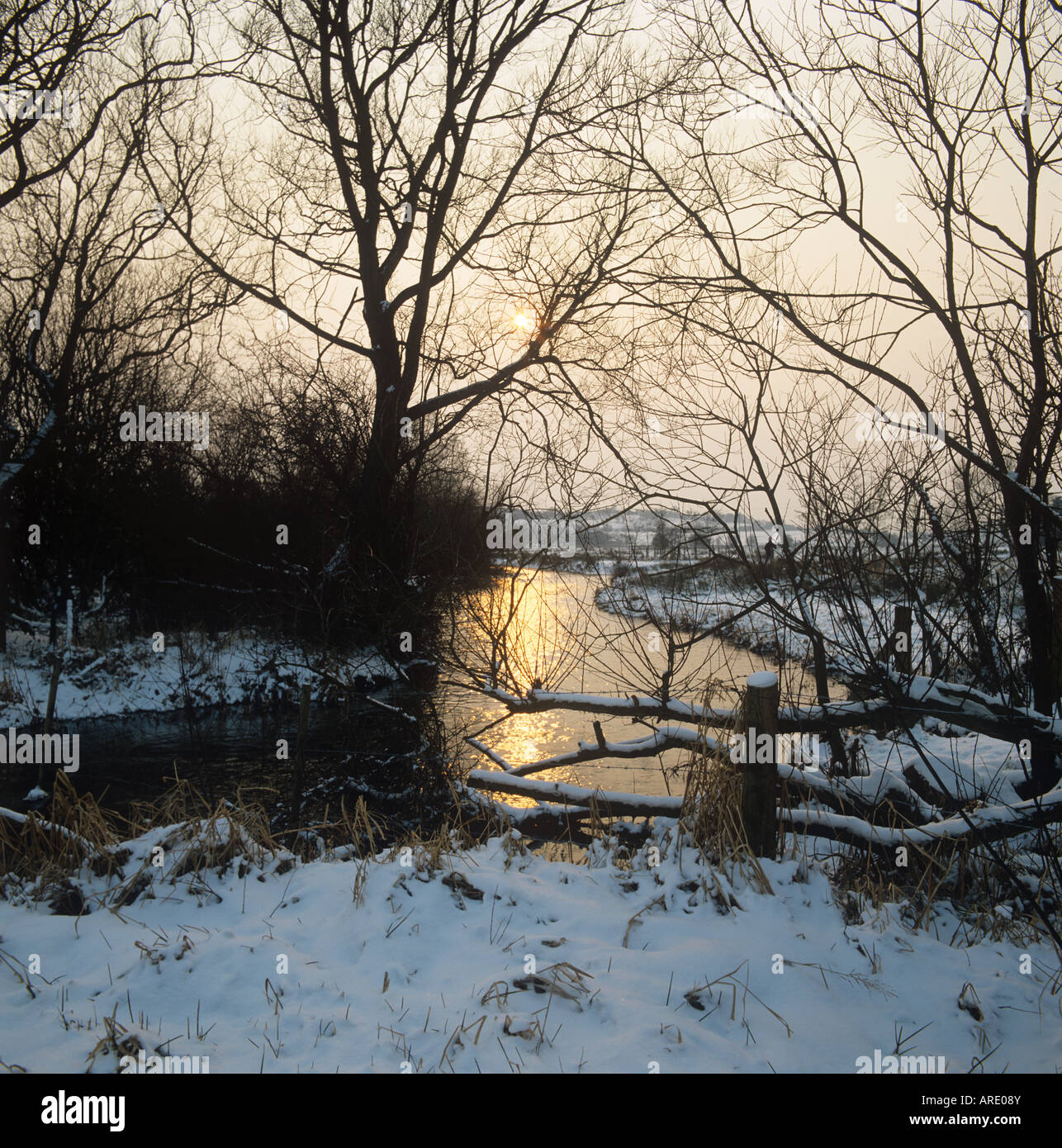 Fluß Kennet Hungerford und Sumpfgebiet mit Schnee bedeckt auf Bäume und Banken in der Abend-Sonne Stockfoto