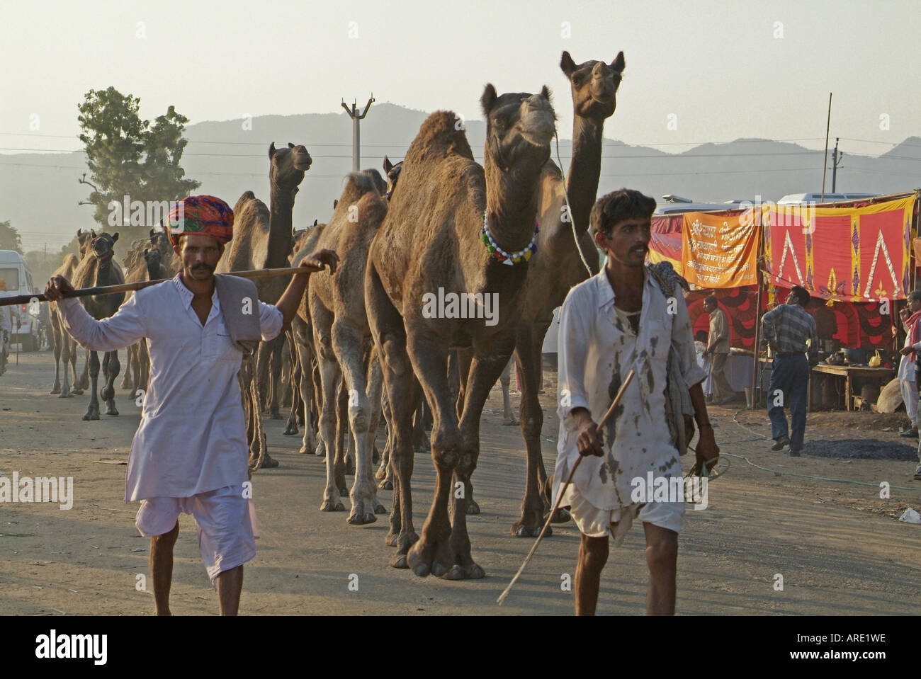 Kamel Händler auf der Pushkar Kamel Messe in Indien Stockfoto