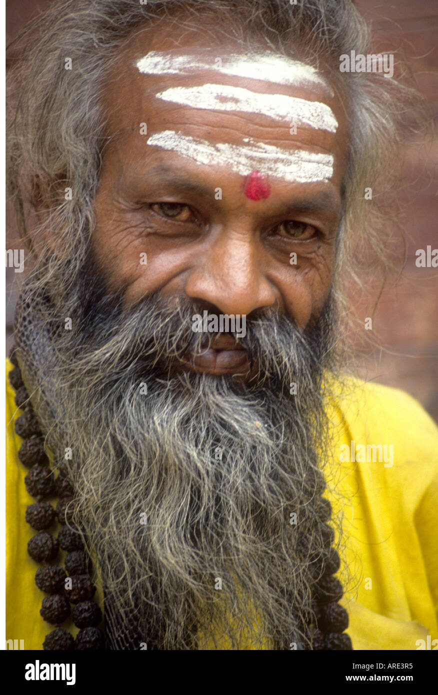 Lächelnd Ocker gekleidet Saddhu mit bemaltem Gesicht Spulen eine Schlange um seinen Hals während des Wartens auf Almosen in Indien Stockfoto