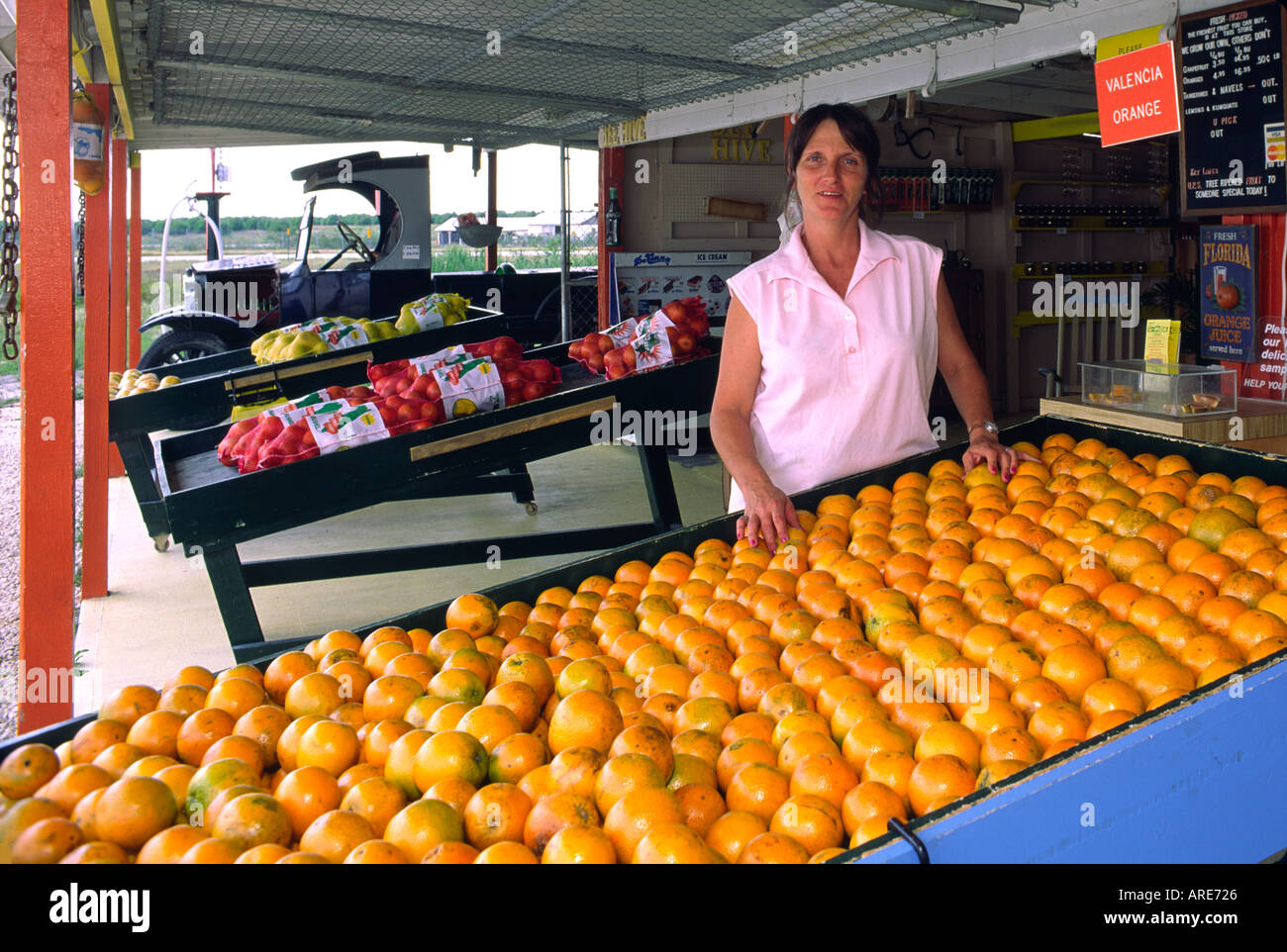 Florida, USA. Frau verkaufen lokale angebaute Orangen aus am Straßenrand Marktstand in der Nähe von wichtigen Zitrusfrüchten produzierenden Zentrum von Clermont Stockfoto