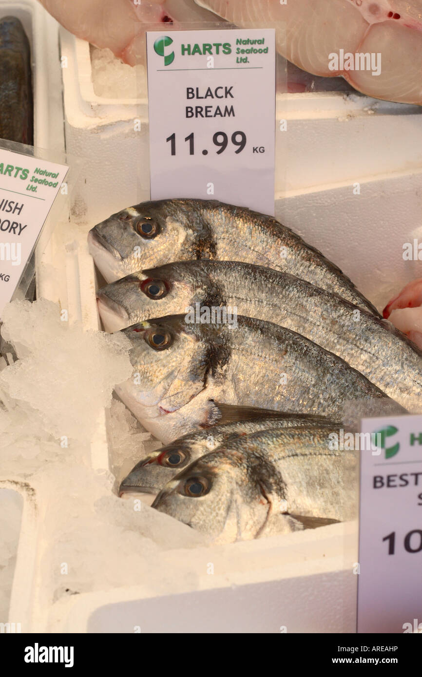 Black Bream frischen Fisch Seafish zum Verkauf am Marktstand in Somerset, England Stockfoto