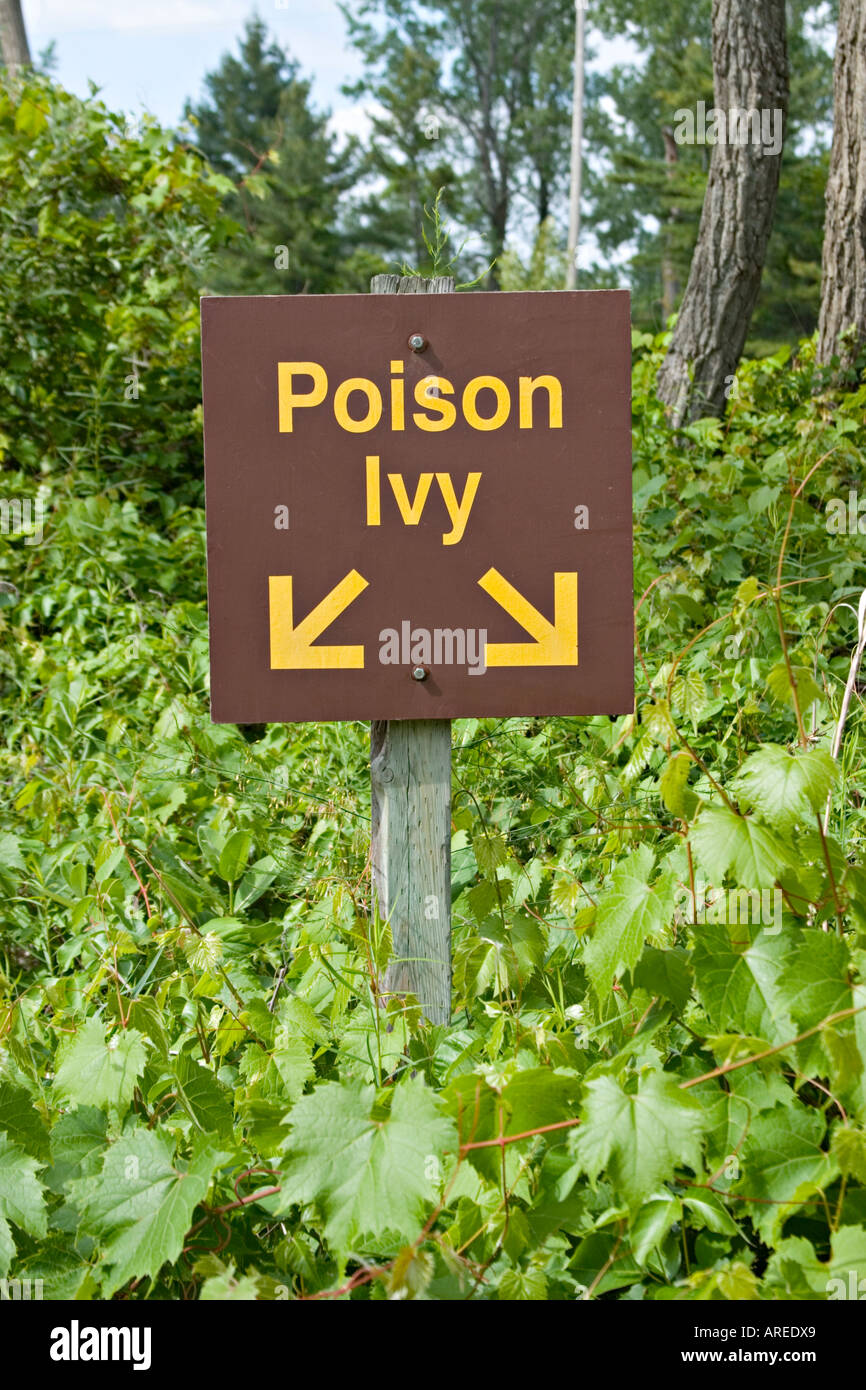 Poison Ivy-Warnschild Stockfoto