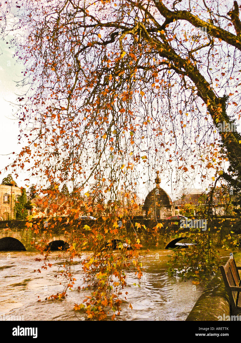 Hochwasser am Fluss Avon in Bradford on Avon Wilts England UK EU Stockfoto