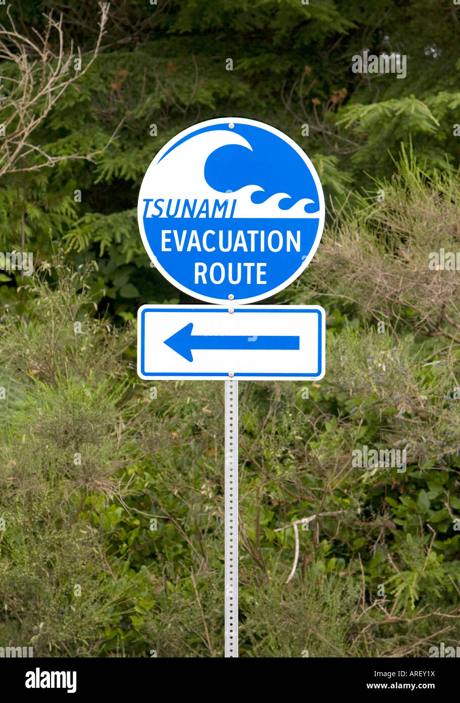 Sunami Evakuierung Route Zeichen Pacific Rim Kanada Stockfoto