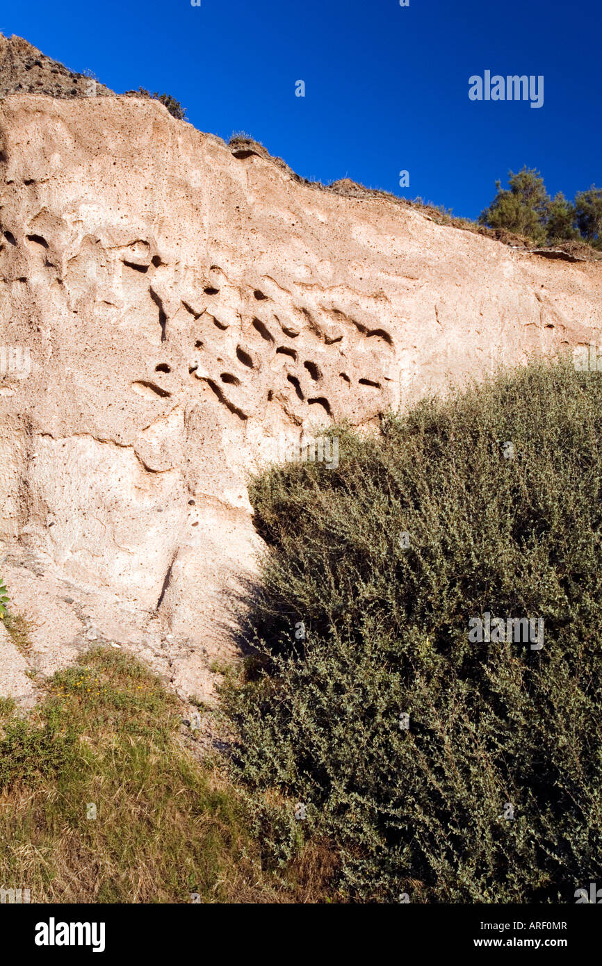 ↑ ungewöhnliche ^ Cliff ^ Erosion ^ Feature [nördlich von 'Monolithos'] 'Santorini' Griechenland Stockfoto