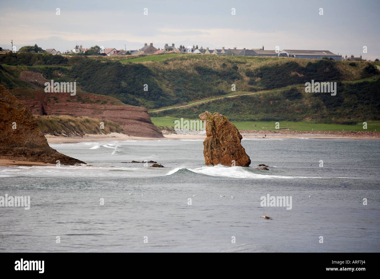 Cullen Bay Stockfoto