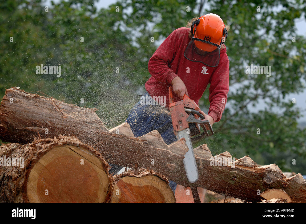 Künstler arbeiten bei den Festspielen Kettensäge schnitzen einen Mann  schnitzen Holz mit einer Kettensäge Stockfotografie - Alamy
