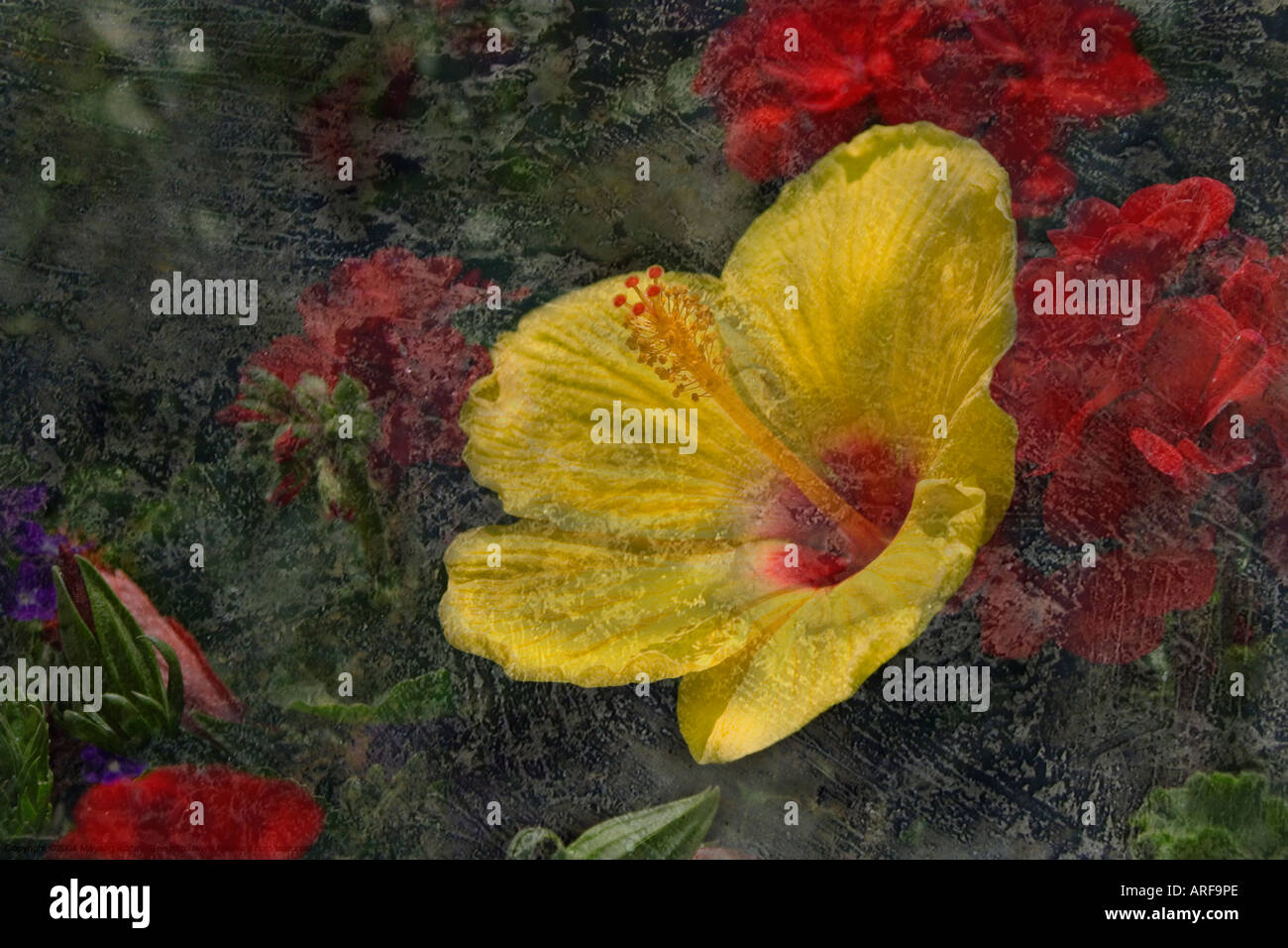 Blume-Grunge-Hintergrund Stockfoto