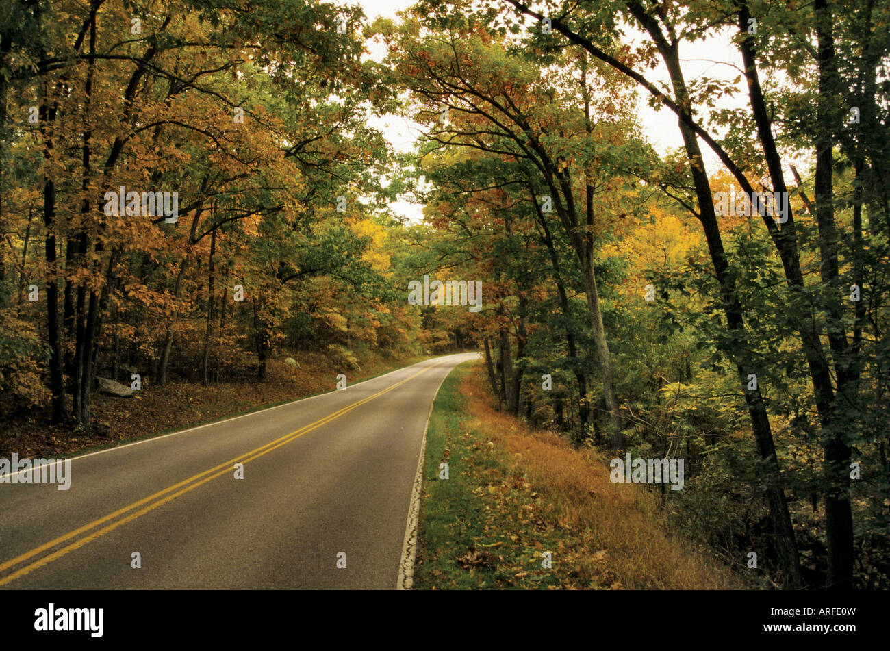 Skyline Drive im Shenandoah Nat Park Virginia USA Herbst Stockfoto