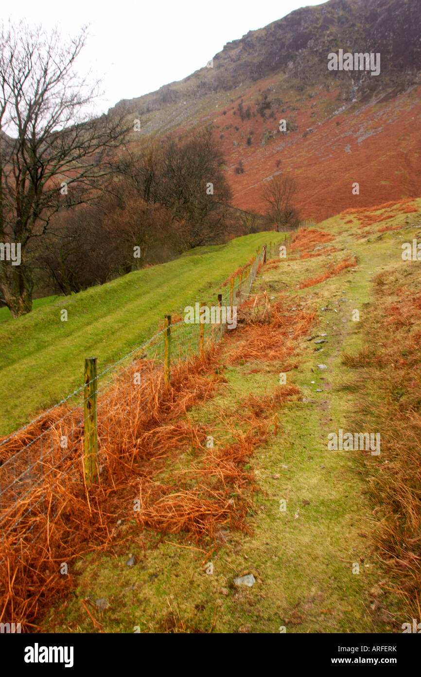 Europa-Wales Gitterlinie über LLanymawddy Stockfoto