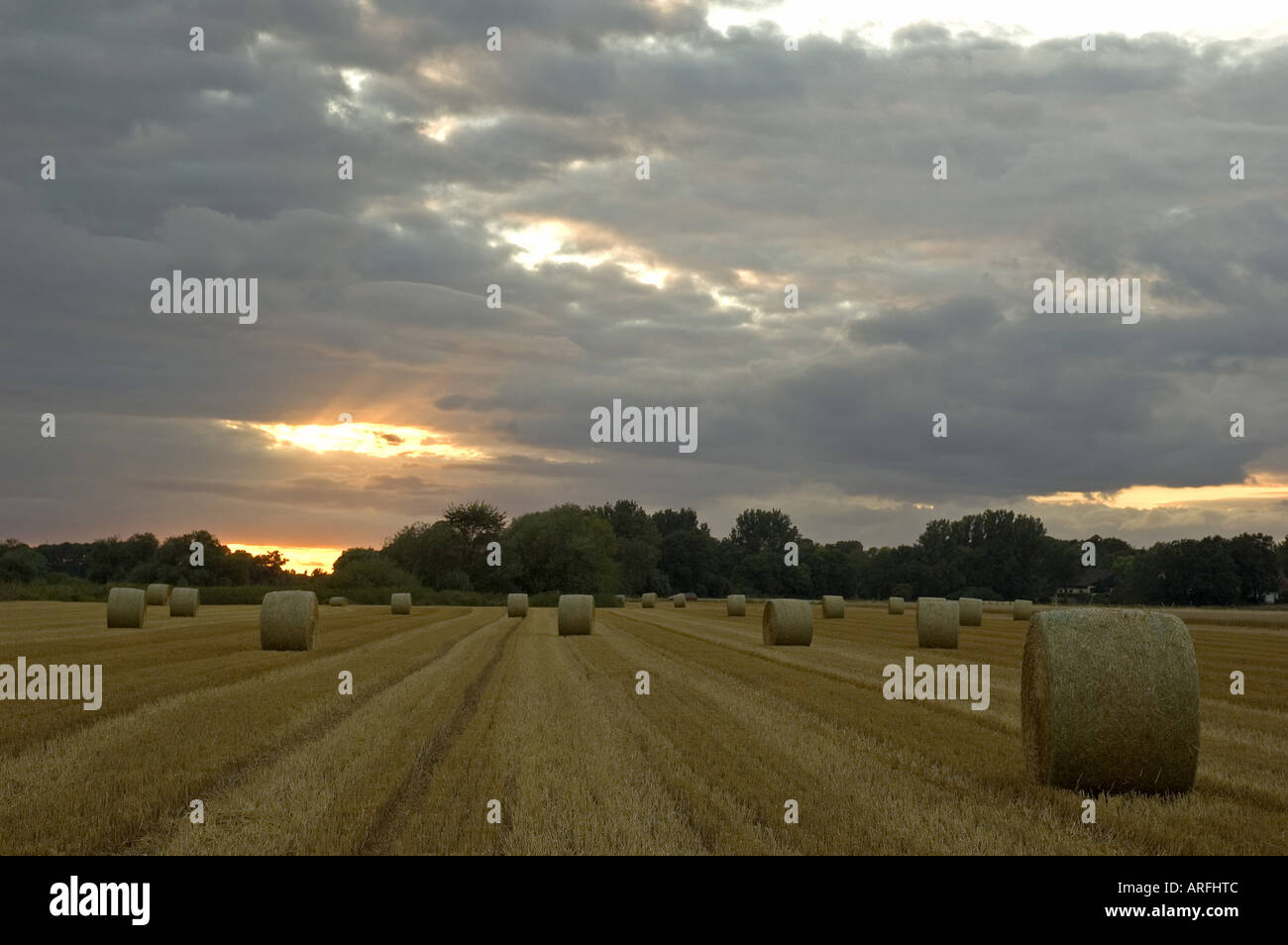 Stroh Kugeln, Schaumburger Land, Deutschland, Niedersachsen Stockfoto