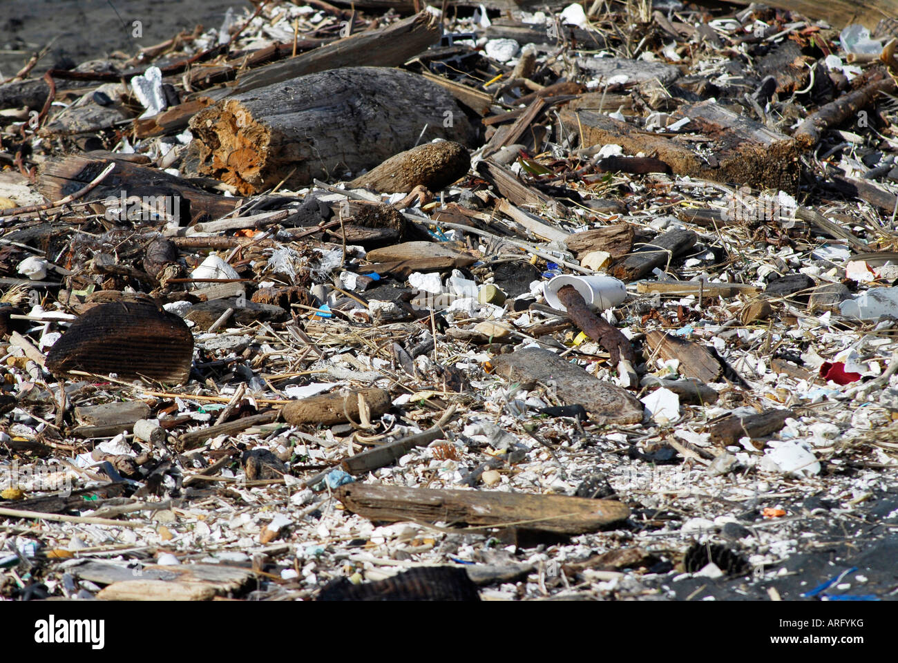"Müll angespült am Strand, Pazifik-Küste, San Francisco" Stockfoto
