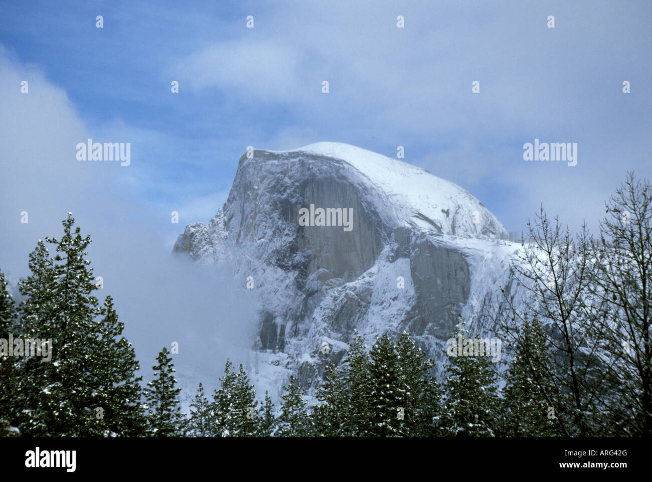 Winter Nebel gibt Half Dome einen stimmungsvollen Blick auf Yosemite Valley im Yosemite-Nationalpark in Kalifornien. Stockfoto