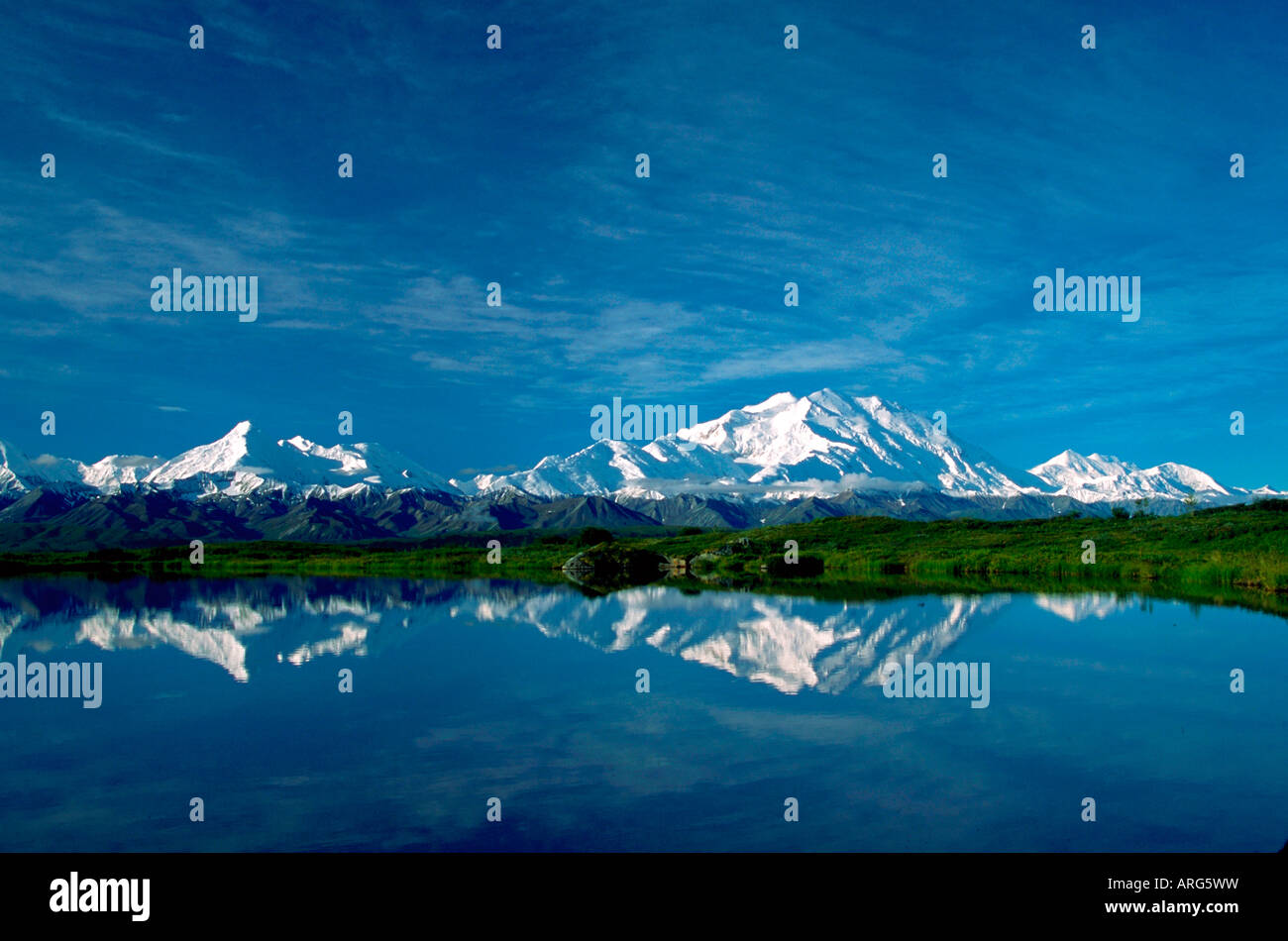 Die Alaska Range mit Reflexion im Tundra Teich große massiv ist Mount McKinley Denali Nationalpark, Alaska Stockfoto
