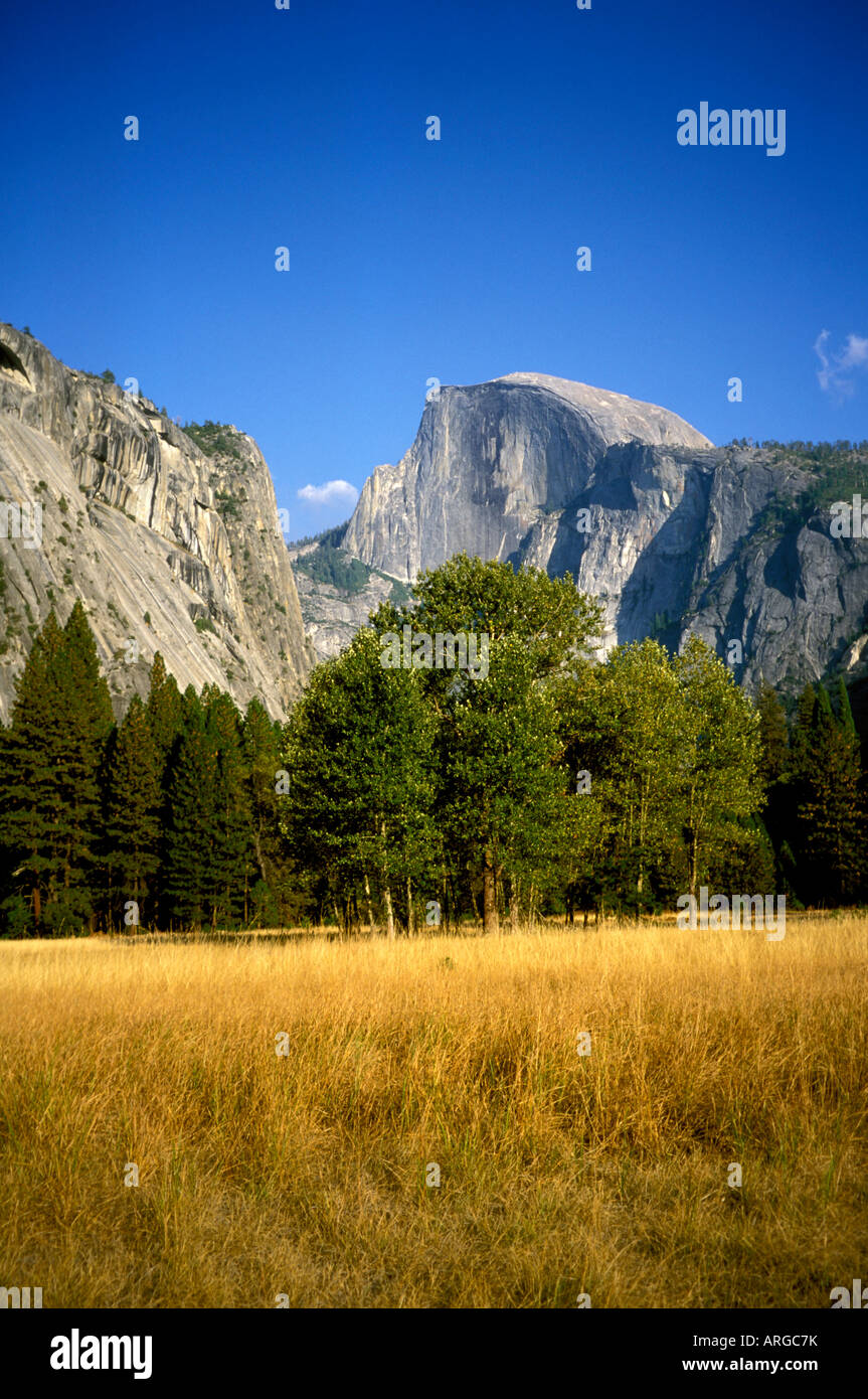 Half Dome sieht über dem Talboden des Yosemite National Park in Kalifornien. Stockfoto