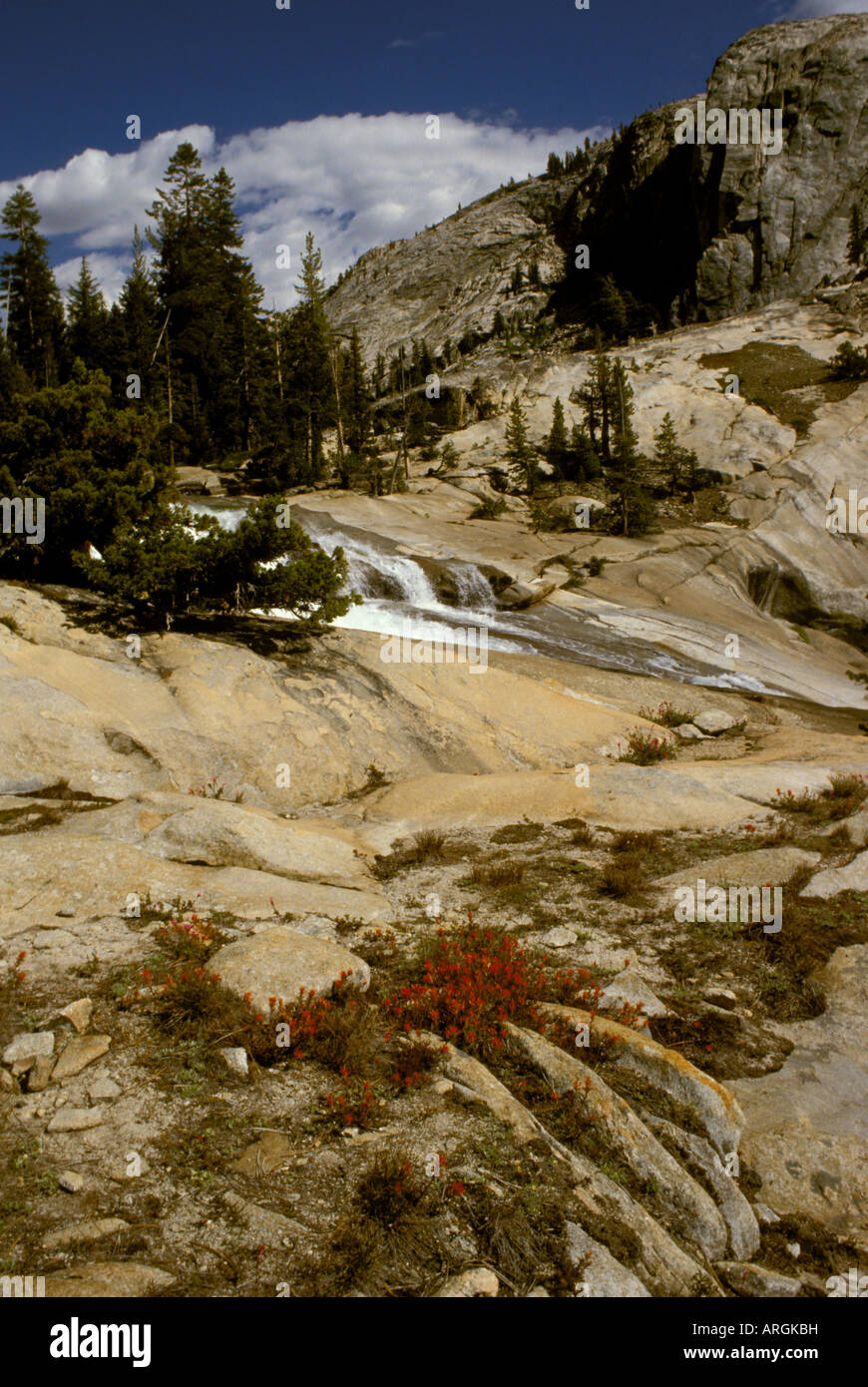 Die Tuolumne River fließt über Glen Aulin in das hohe Land der Yosemite-Nationalpark in Kalifornien. Stockfoto