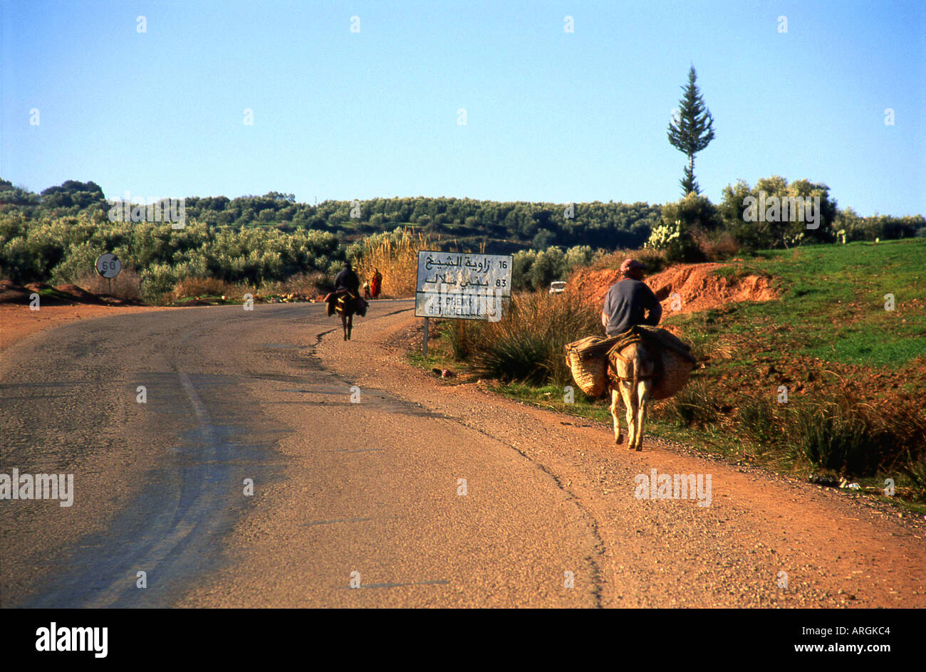 Azrou Meknès-Tafilalet mittleren Atlas Marokko Maghreb maghrebinischen Berber arabische arabische marokkanische Nordafrika Stockfoto