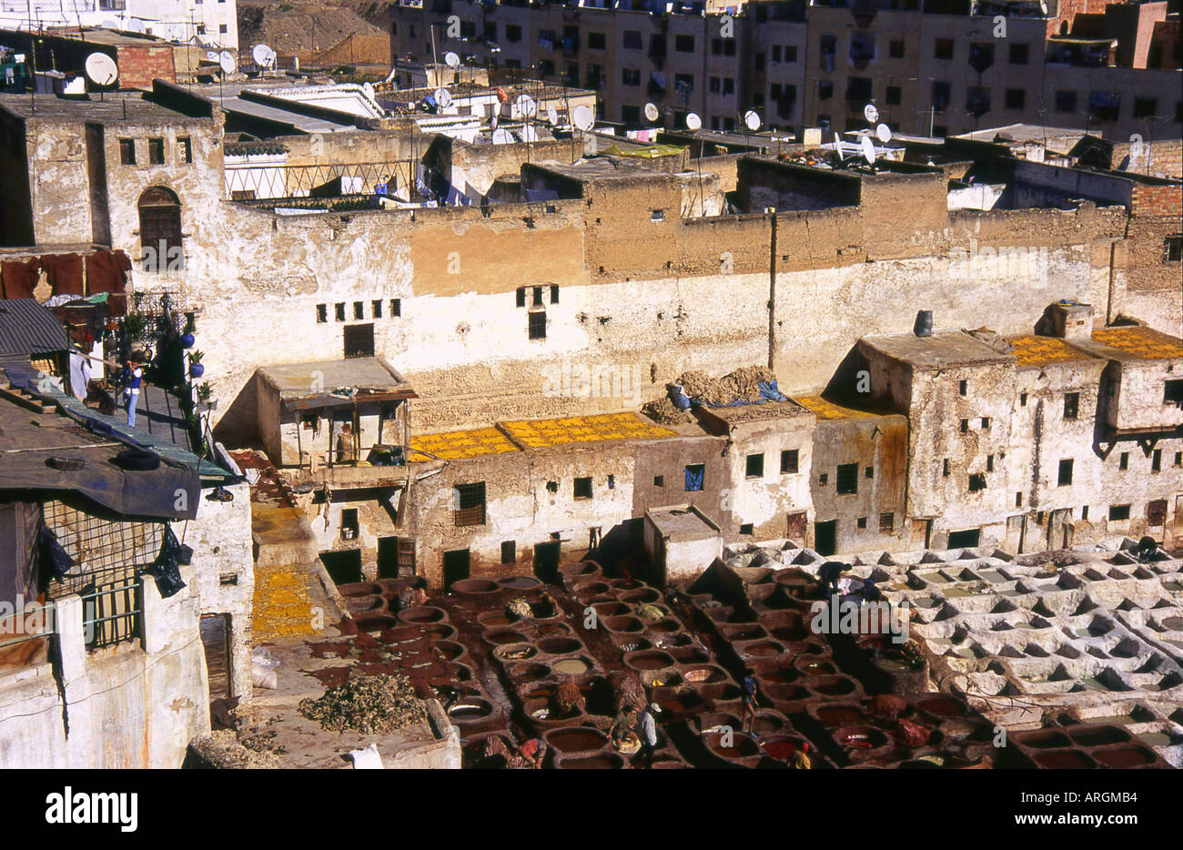 Gerbereien Chouwara Fes el Bali der alten Medina Fez Fès-Boulemane nördlichen Marokko Nordafrika Stockfoto