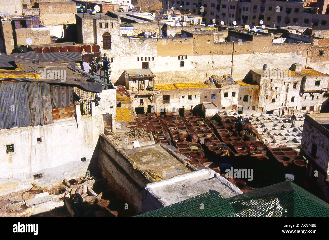 Gerbereien Chouwara Fes el Bali der alten Medina Fez Fès-Boulemane nördlichen Marokko Nordafrika Stockfoto