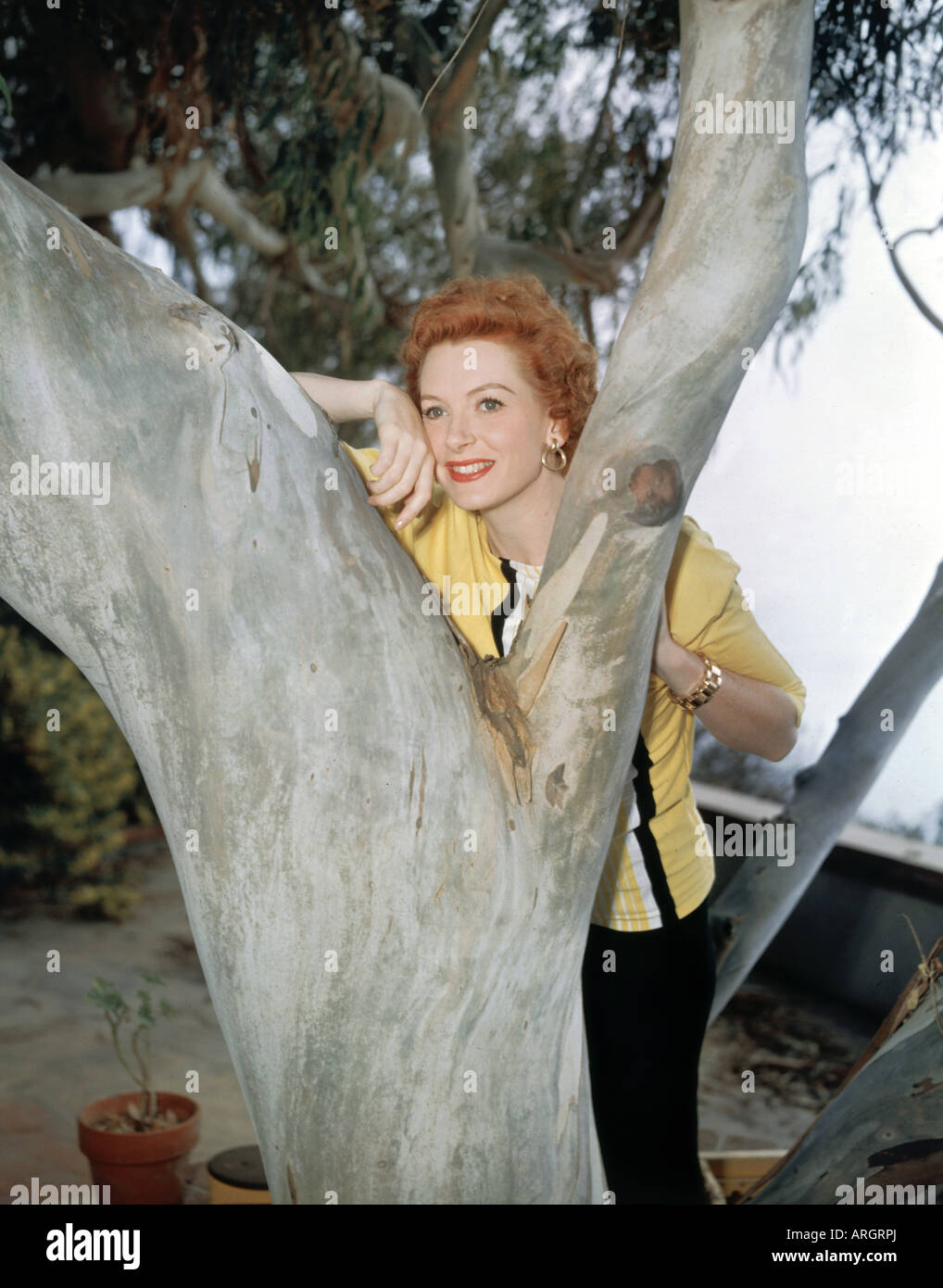 Kerr, Deborah, 30.9.1921 - 16.10.2007, britische Schauspielerin, lehnt sich am Baumstamm, auf der Suche zwischen Zweigen, 1950er Jahre, Stockfoto