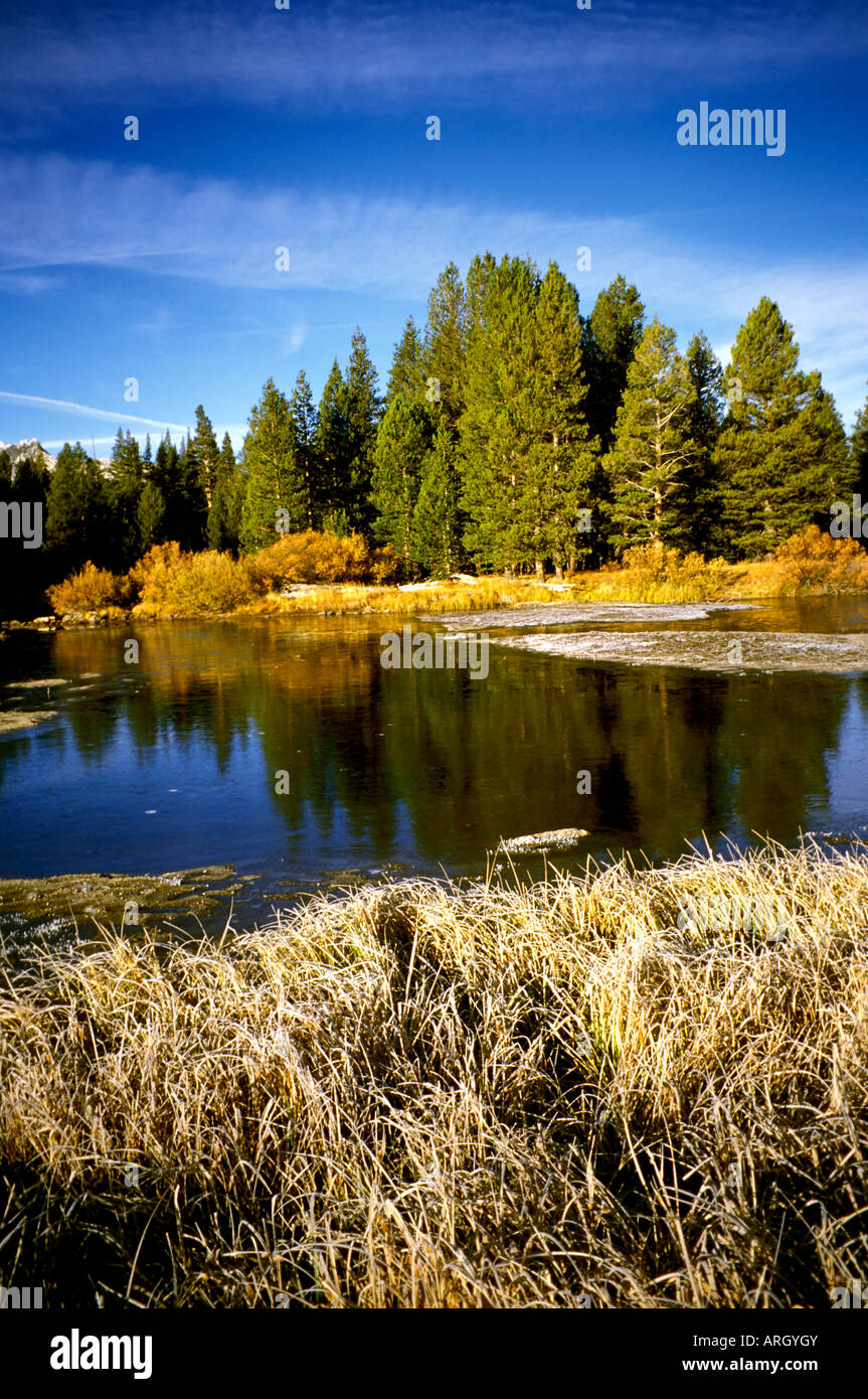 Herbst in das Hochland bedeutet, dass bunte Herbstlaub im Yosemite National Park in Kalifornien. Stockfoto