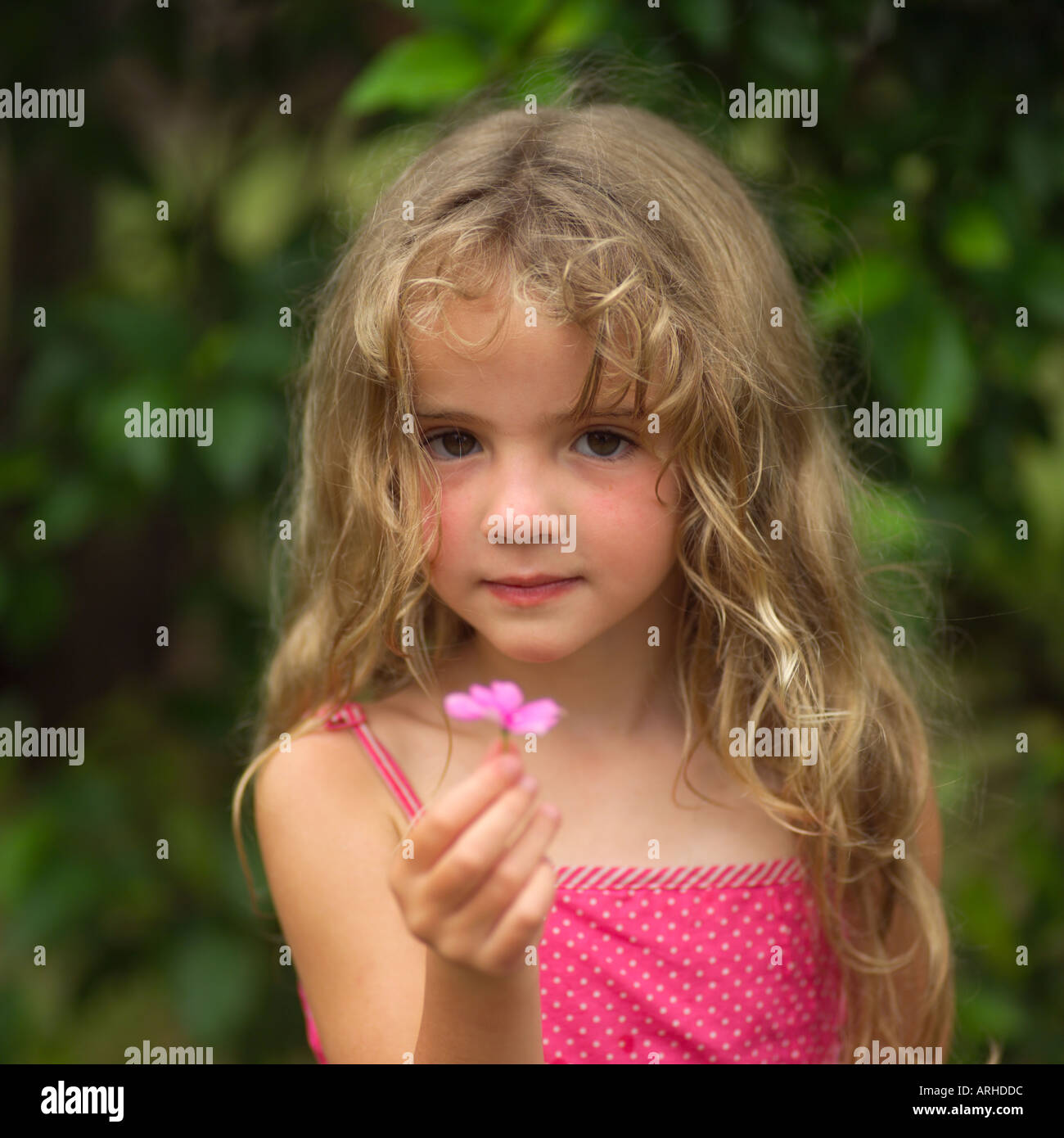 Junge Mädchen, die rosa Blume auf Moorea in Tahiti Stockfoto