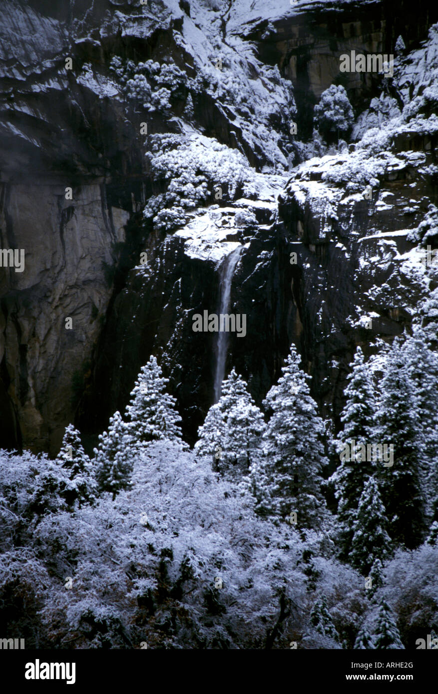Winterschnee bedeckt einen Wald und Yosemite Falls friert im Yosemite-Nationalpark in Kalifornien. Stockfoto