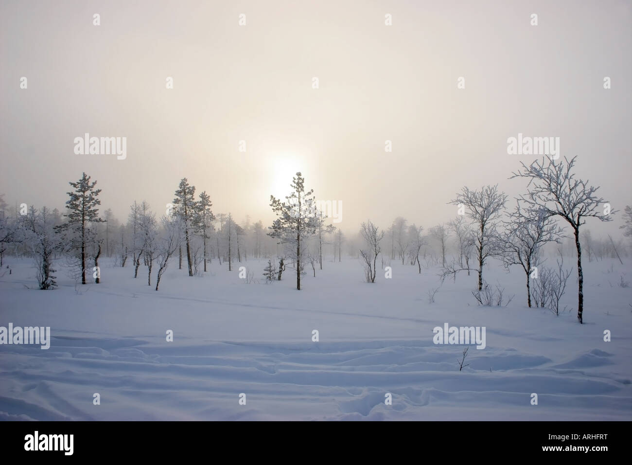 Eine niedrige Wintersonne scheint durch einen Nebel der Eis Kristalle Lappland Nordfinnland Polarkreis Stockfoto