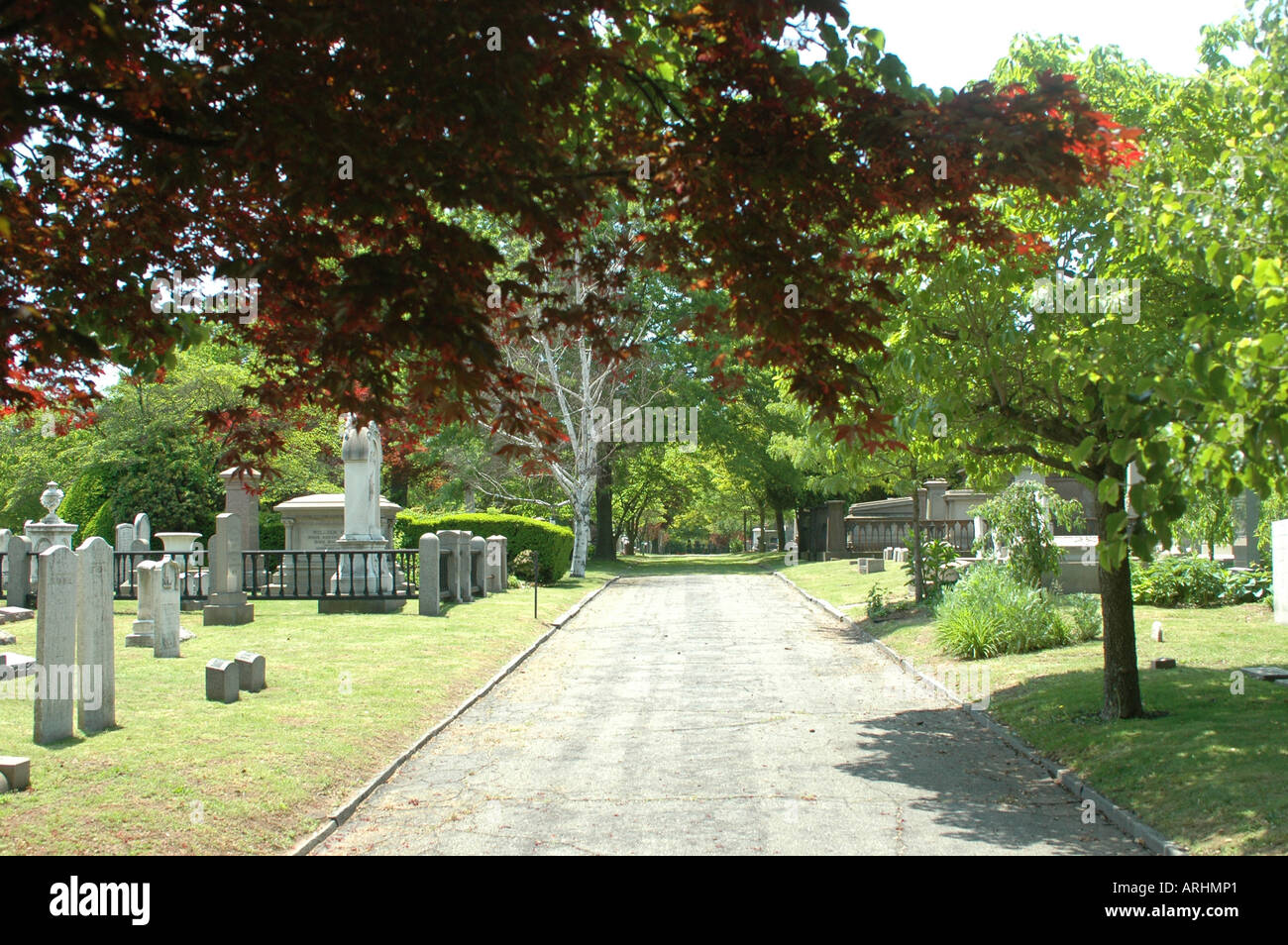 Grove Street Cemetery National Historic Landmark mit japanischen Ahorn New Haven Connecticut Stockfoto