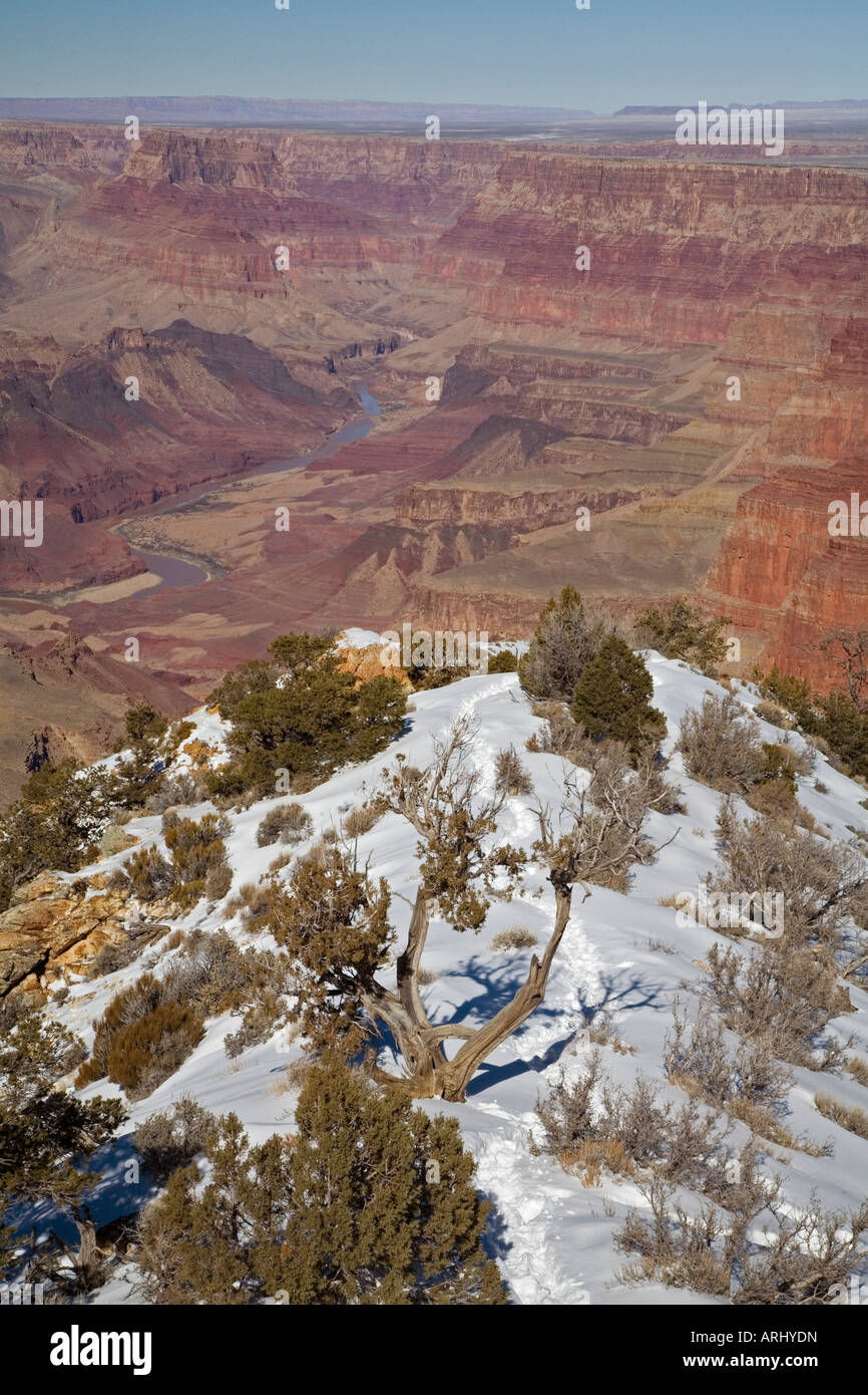 Der Grand Canyon im Winter von Desert View Stockfoto