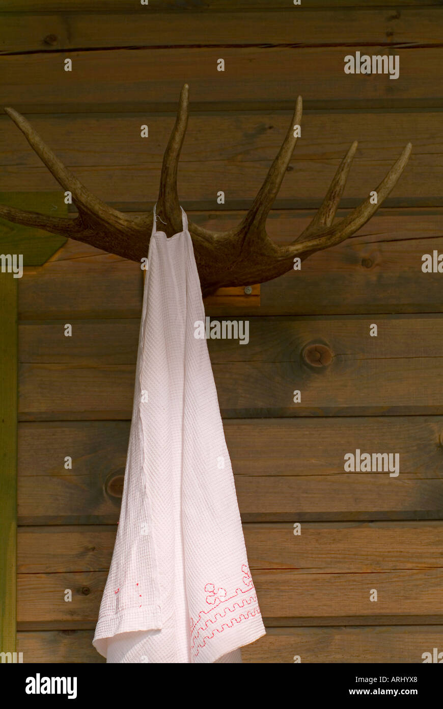 weißes Saunatuch hängen an Haken aus Hörnern ein Elch aus Stockfoto