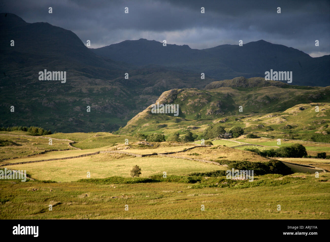 Birker fiel Seenplatte Stockfoto