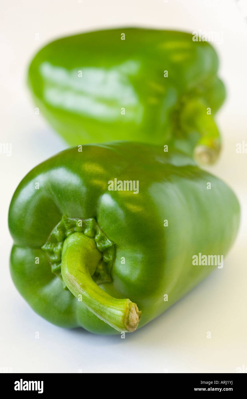 Grüner Bio Paprika vor einem weißen Hintergrund Stockfoto