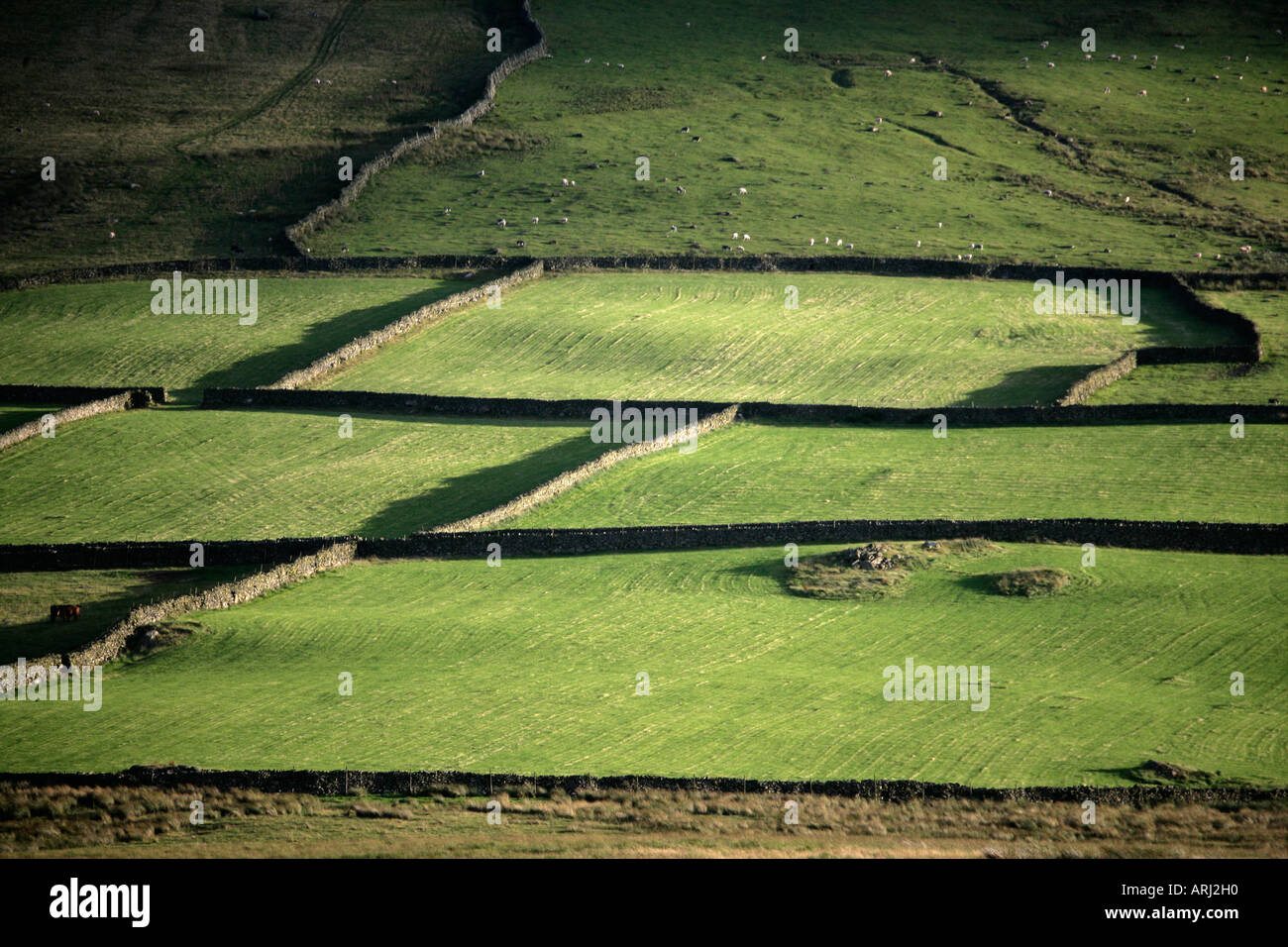 Birker fiel Seenplatte Stockfoto