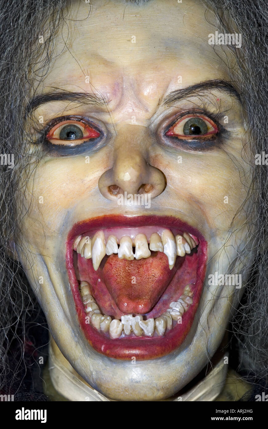 Das Gesicht des Vampirs Stockfoto