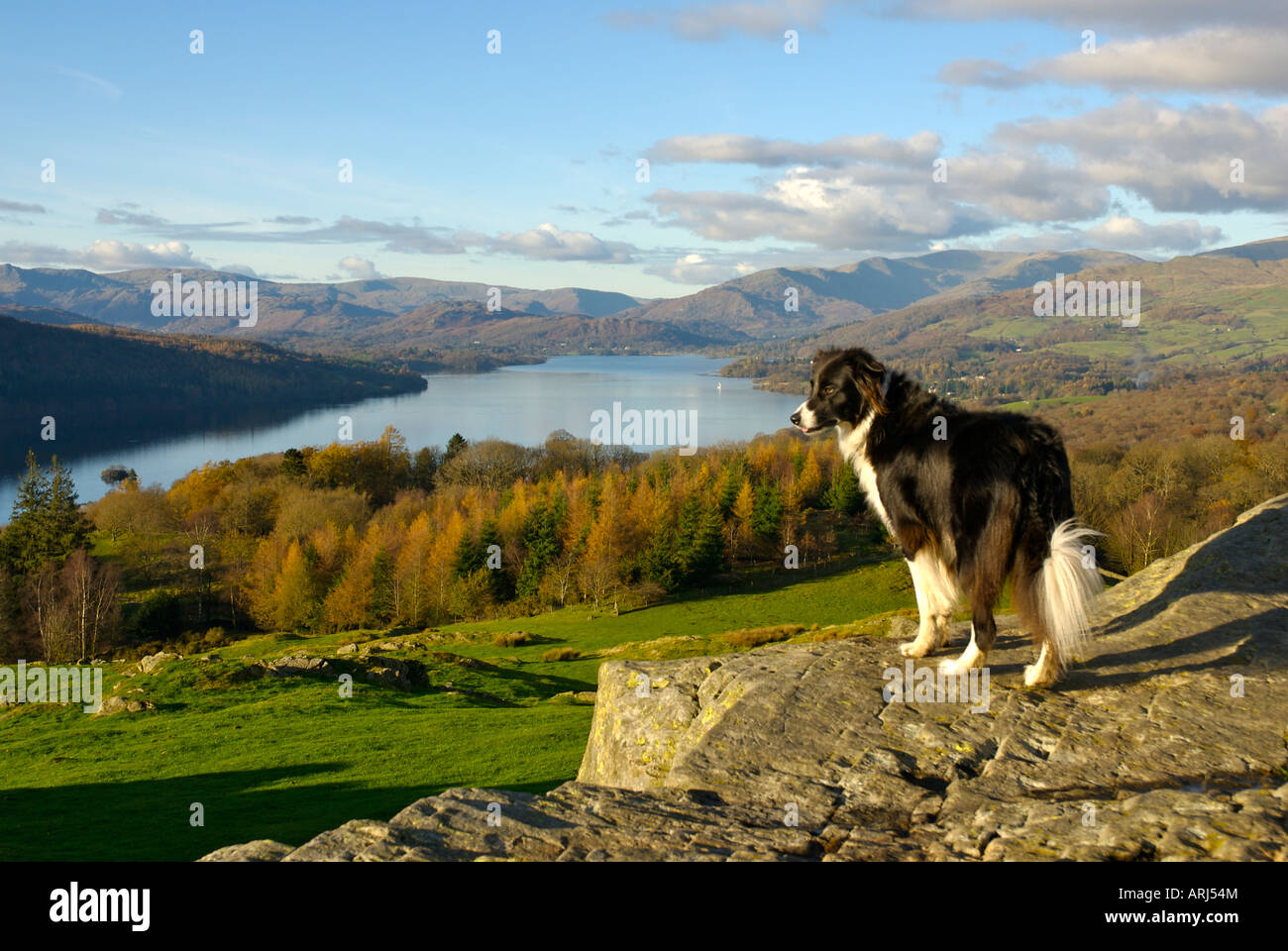 Lake Windermere von Brant fiel, Nationalpark Lake District, Cumbria, UK Stockfoto