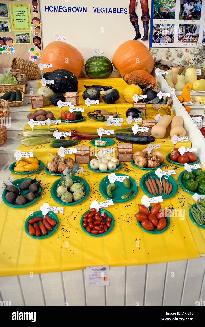 Michigan, Gemüse und andere Produkte auf dem Display an der Michigan State Fair Held in Detroit Michigan MI Hause angebaut Stockfoto