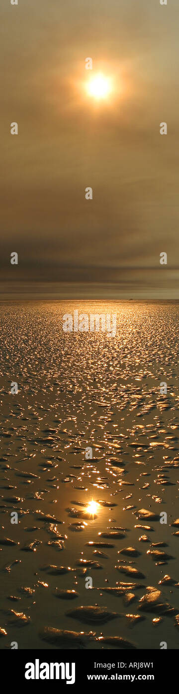 Catalina-Sonnenaufgang am Roebuck Bay, Australien, Western Australia, Kimberley, Broome Stockfoto