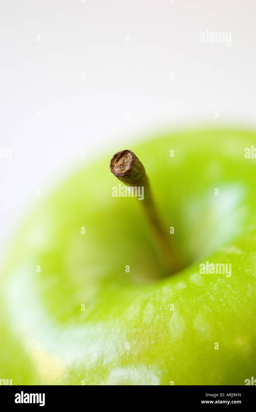 Eine Nahaufnahme von einem der Stiel von einem frischen grünen Bio-Apfel vor einem weißen Hintergrund Stockfoto