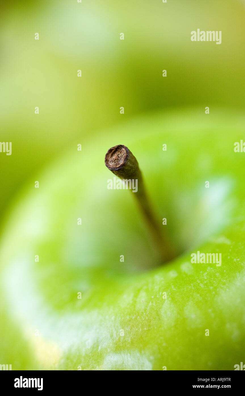 Eine Nahaufnahme von einem der Stiel von einer frischen grünen Bio-Apfel mit einem anderen unscharf gestellt Frucht im Hintergrund Stockfoto