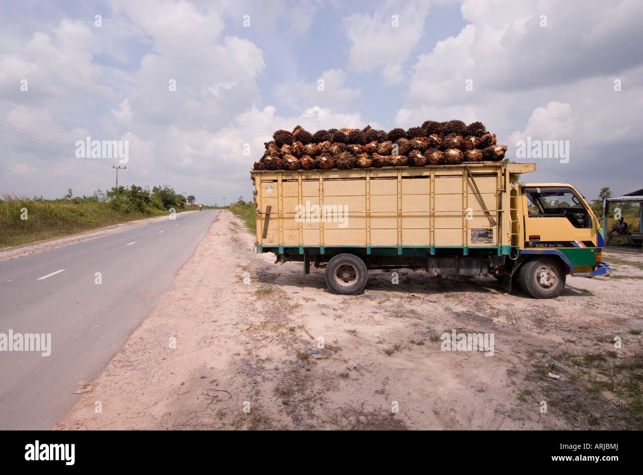 LKW beladen mit Palmöl durch eine Straße in Kalimantan, Indonesien, Borneo Stockfoto