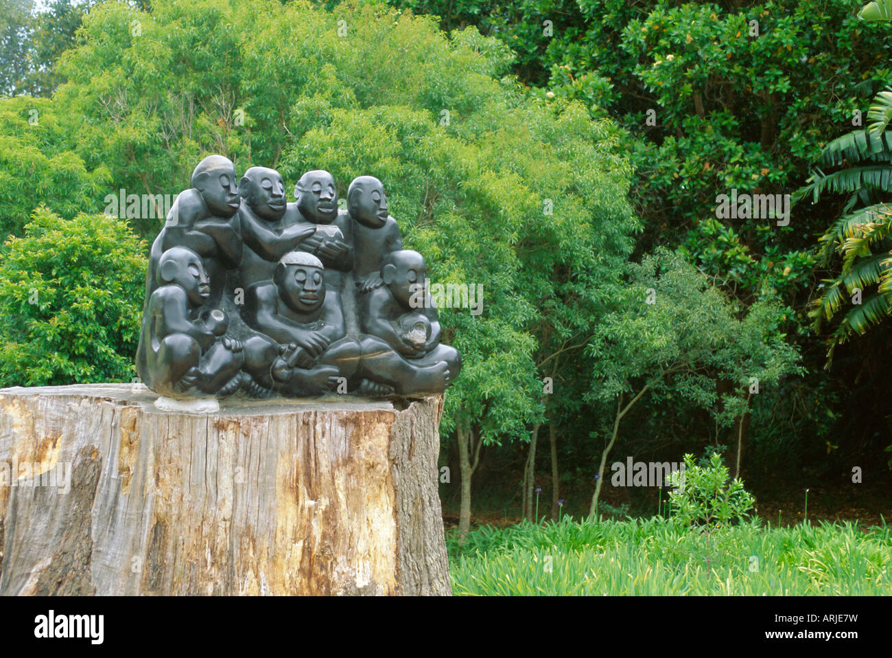 Kirstenbosch Botanical Gardens, Cape Town, Südafrika Stockfoto