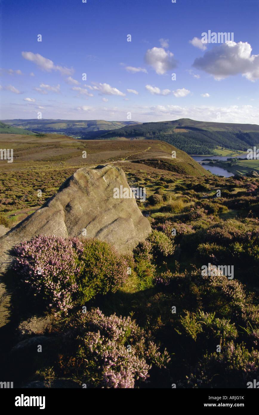 Whinstone Lee Tor und Derwent Moors, Derwent Rand, Peak District National Park, Derbyshire, England, Vereinigtes Königreich, Europa Stockfoto