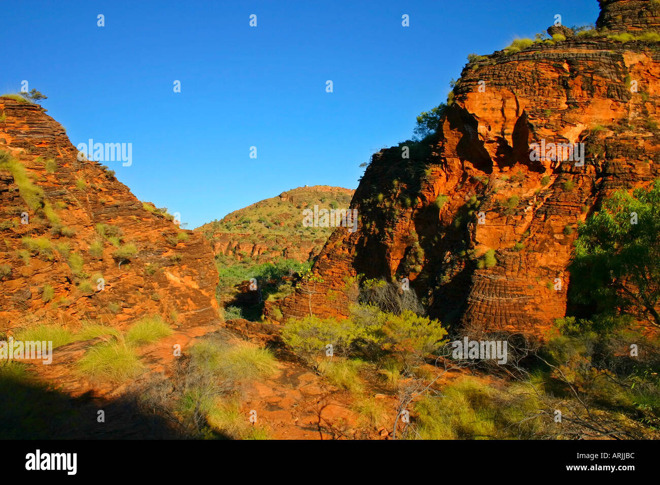Robuste sedimentären Formationen und Blumen des Hidden Valley im Mirima National Park in der Nähe von Kununurra Western Australia Stockfoto